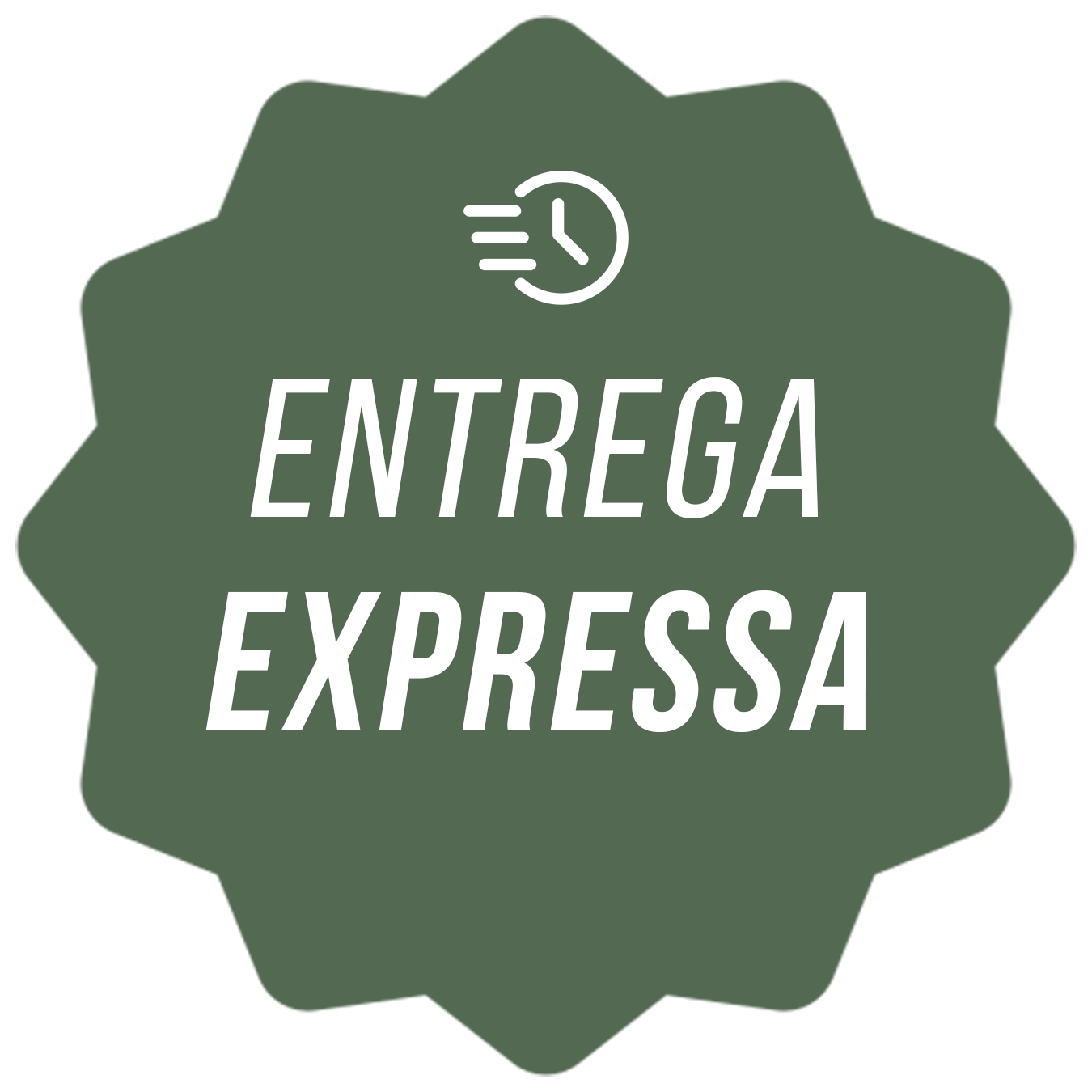 Entrega Expressa